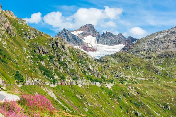 Met het oog op Steingletcher bergen in de Zwitserse Alpen — Stockfoto