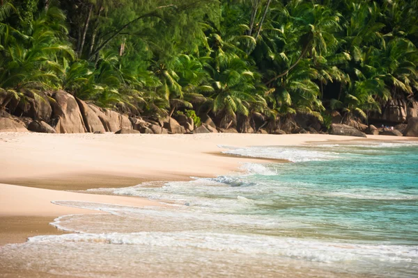 Tropisk strand på Mahe island Seychelles — Stockfoto