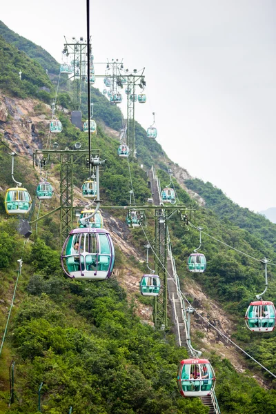 Cable cars over tropical trees — Stock Photo, Image
