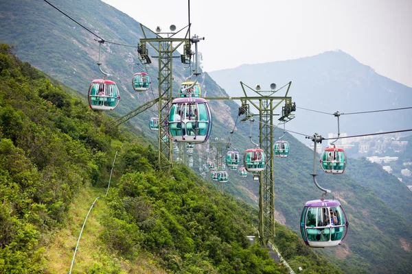 Cable cars over tropical trees