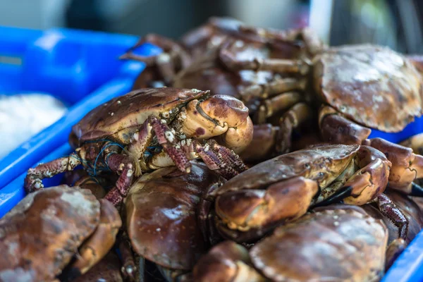 Raw whole crabs on ice — Stock Photo, Image