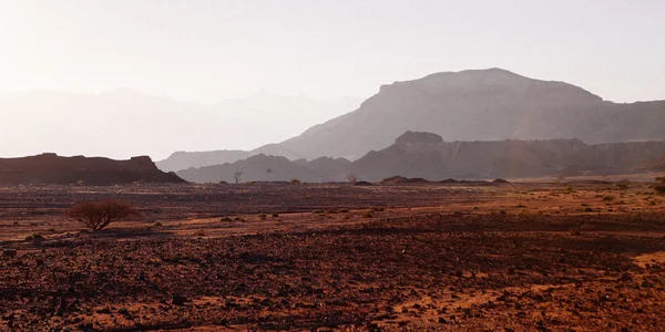 Milli Timna Parkı — Stok fotoğraf