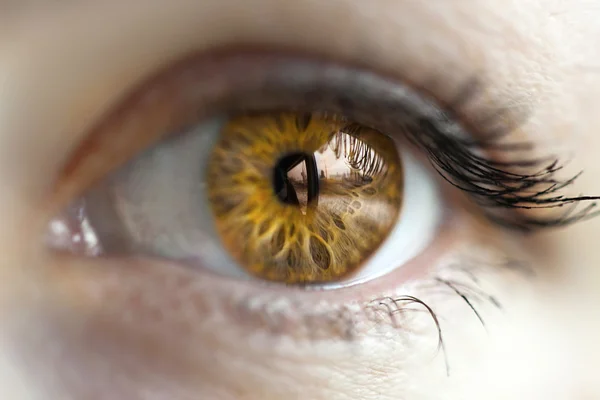 Color de ojos de las mujeres cambiado con lentes — Foto de Stock