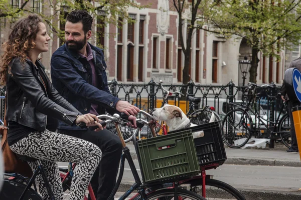 AMSTERDAM, NETHERLANDS - MAY 9: Man and woman with dog riding bicycles in historical part in Amsterdam, Netherlands on May 9, 2015