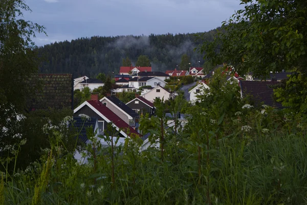 Norwegisches Haus auf dem Hintergrund der Berge — Stockfoto