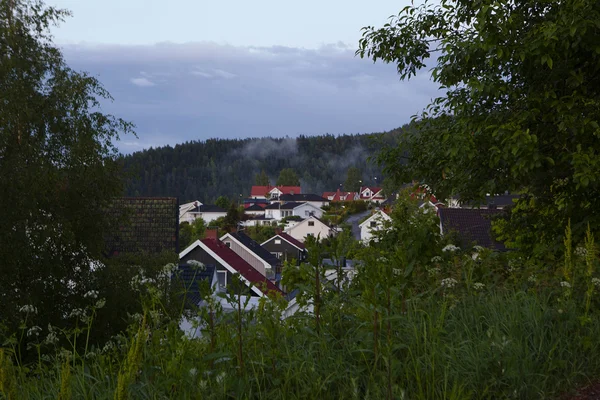 Норвежский дом на фоне гор — стоковое фото
