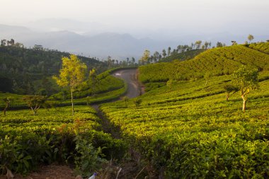 Sri Lanka'nın puslu panorama manzara
