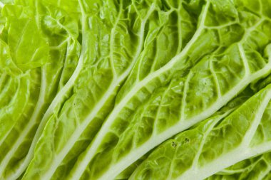 Çince lahana yaprağı arka plan