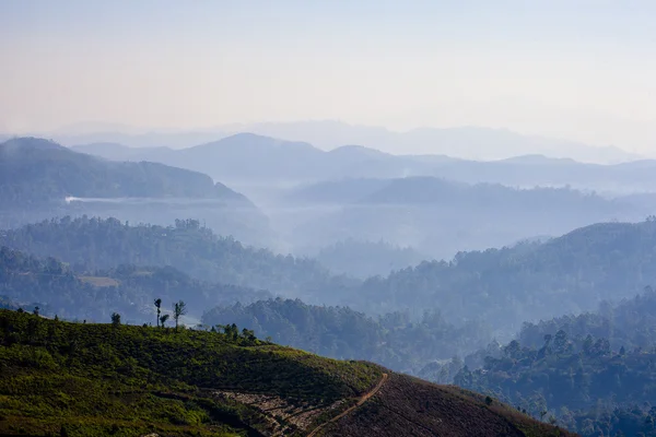 Landscape misty panorama  of Sri Lanka — Stock Photo, Image