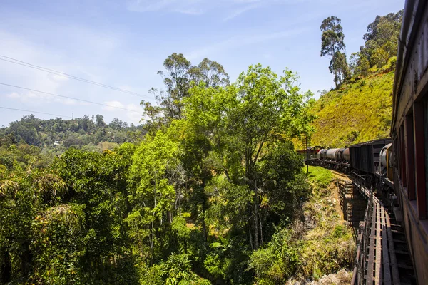 Train from Nuwara Eliya to Kandy among tea plantations in the highlands of Sri Lanka — Stock Photo, Image