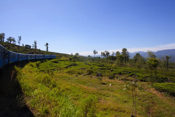 Train from Nuwara Eliya to Kandy among tea plantations in the highlands of Sri Lanka — Stock Photo, Image