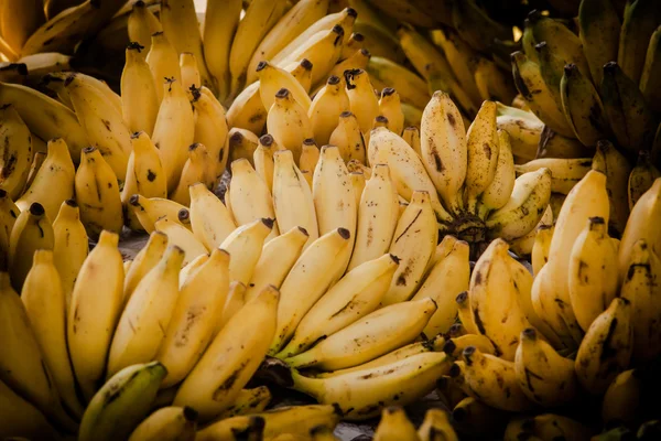 Bananen auf dem Markt in Sri Lanka — Stockfoto