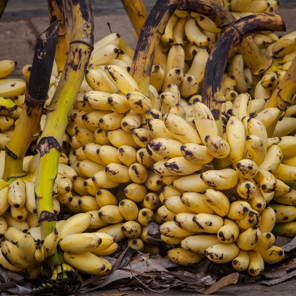 Bananen auf dem Markt in Sri Lanka — Stockfoto