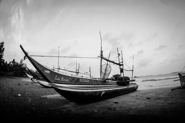 Fiskere fjerner fisk fra fiskegarn ved stranden i Negombo. – stockfoto