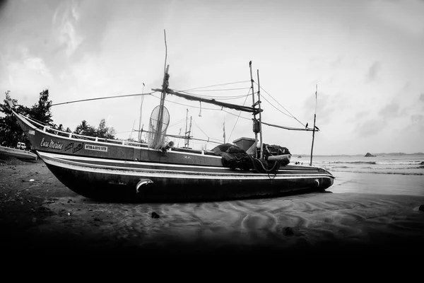 Fishermen remove fish from fishing nets at the beach of Negombo — Stock Photo, Image