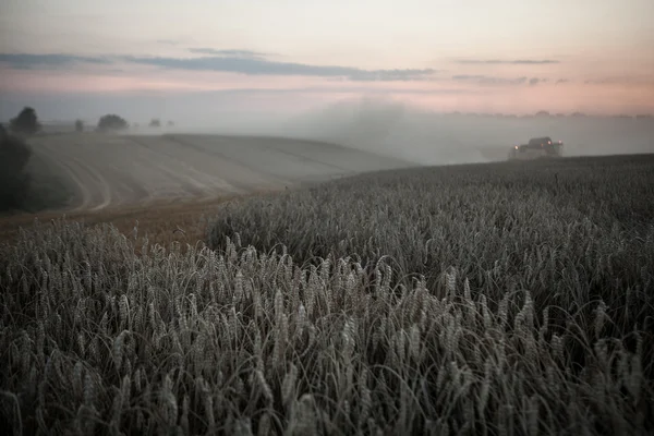 Landskap av tät dimma i fältet vid soluppgången i slutet av sommaren — Stockfoto