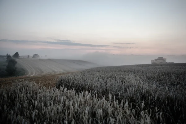 Landskap av tät dimma i fältet vid soluppgången i slutet av sommaren — Stockfoto