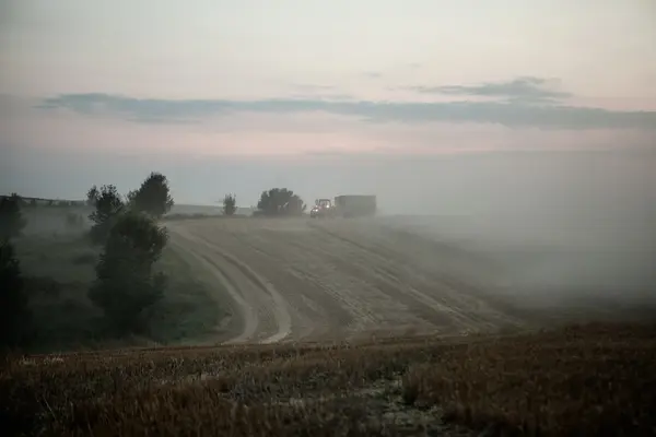 Краєвид густого туману в полі на сході сонця в кінці літа — стокове фото