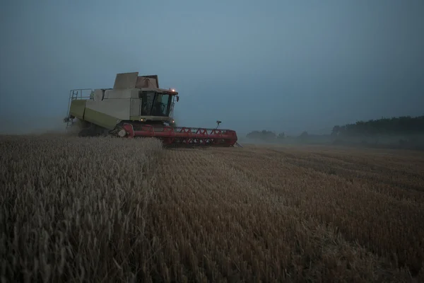 小麦を収穫し、農村フィールドでトレーラーを充填 — ストック写真