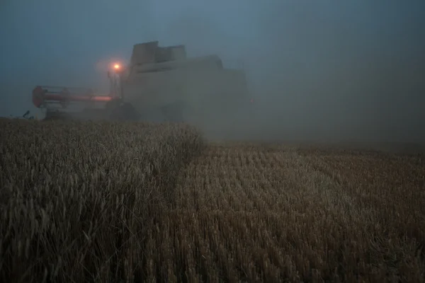 Récolte de blé et remplissage de remorque dans les champs ruraux — Photo