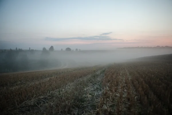 Krajina husté mlhy na poli při východu slunce na konci léta — Stock fotografie