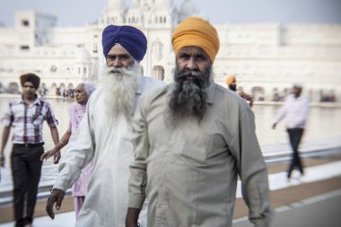 Sihler ve Hint insanlar Amritsar, Punjab Golden Tapınağı ziyaret
