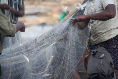 Sadece bir sürü tekneyle balık yakaladı