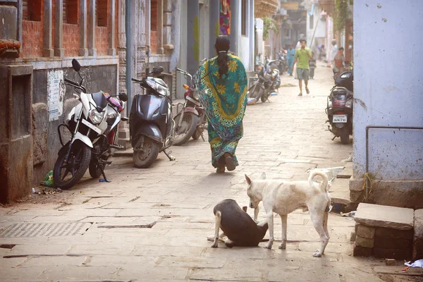 Hindu kvinder på gaderne i den hellige Varanasi gamle bydel - Stock-foto