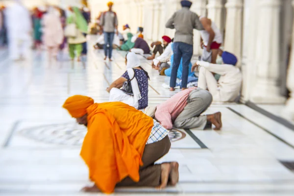 시크교 그리고 인도 사람들이 암 리 차르, 펀 잡에 있는 황금 사원 방문 — 스톡 사진