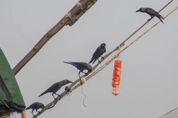 Équipage de pêche — Photo