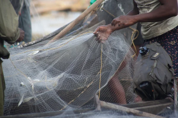 Just caught a lot of fish in a boat — Stock Photo, Image