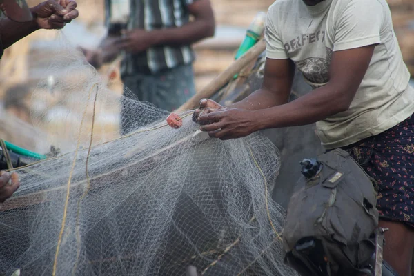 Juste pris beaucoup de poissons dans un bateau — Photo