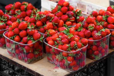 Markette taze çilek