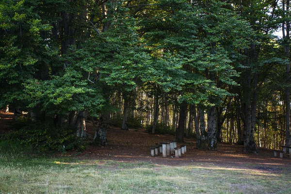 Lugar de descanso en el bosque en Krushevo, Makedonia —  Fotos de Stock