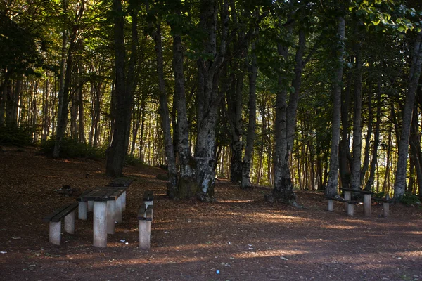 Rest place  in forest in Krushevo, Makedonia — Stock Photo, Image