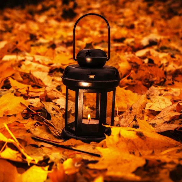 Lanterna in luminose foglie autunnali — Foto Stock
