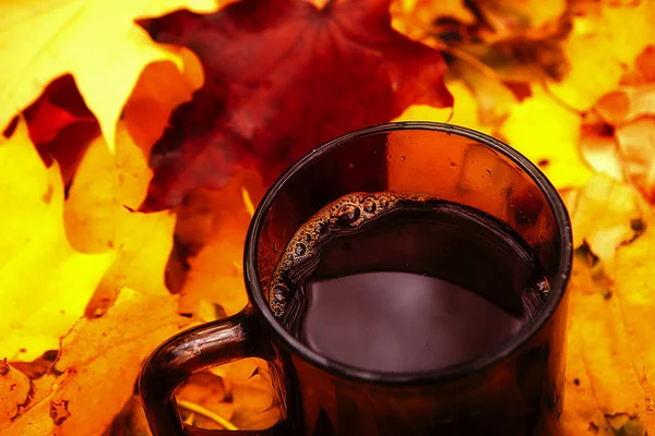 Чай в яскравому осінньому листі — стокове фото