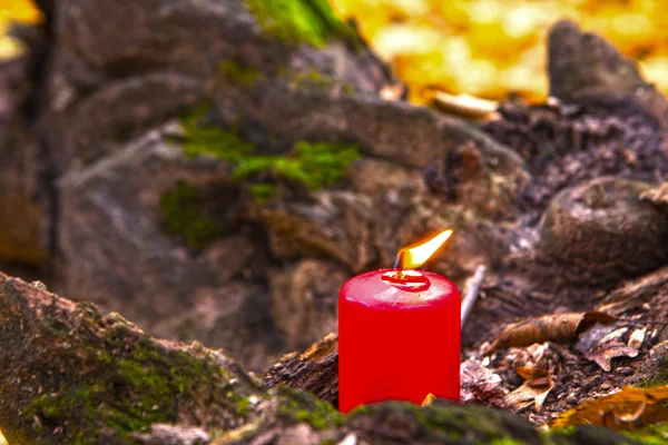 Beautiful natural decor for autumnal holiday. candle on tree wit — Stock Photo, Image