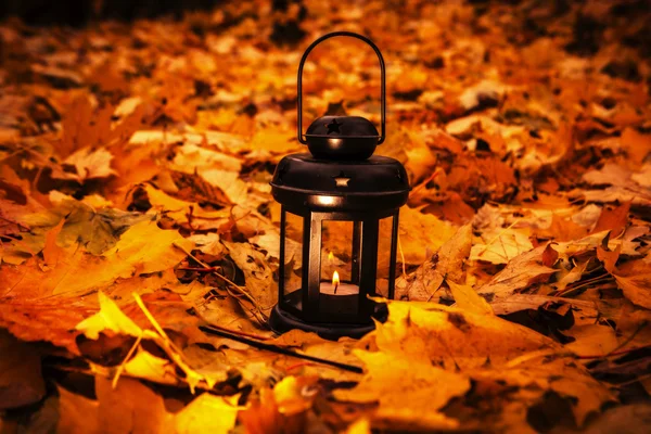 Linterna en hojas brillantes de otoño —  Fotos de Stock