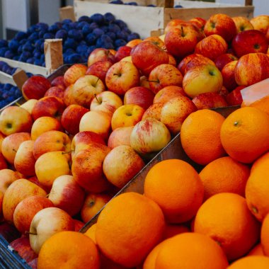 Portakallar ve diğer meyveler bir pazarda sergileniyor