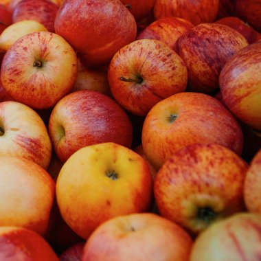 Taze kırmızı ve sarı elmaların yakın çekimi.