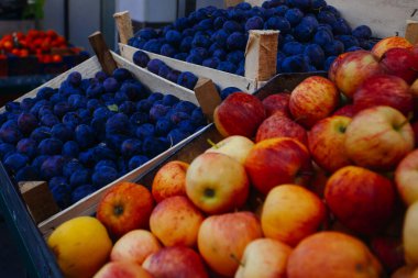 Pazarda satılık elma, portakal ve erikler