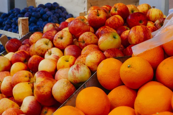 Naranjas Otras Frutas Expuestas Puesto Mercado — Foto de Stock