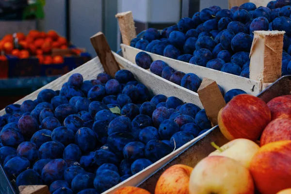 Manzanas Naranjas Ciruelas Para Venta Mercado — Foto de Stock