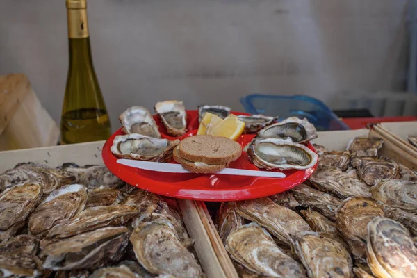 Fresh oysters plate on festival market