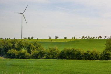 Otlakta eko rüzgar jeneratörü 