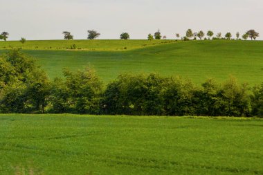 Otlakta eko rüzgar jeneratörü 
