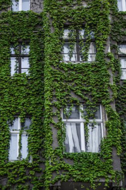 Ivy Berlin 'de kapalı bina