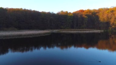 Golosievo parkında insansız hava aracıyla çekilen güzel göl ve sonbahar ormanlarının manzarası.