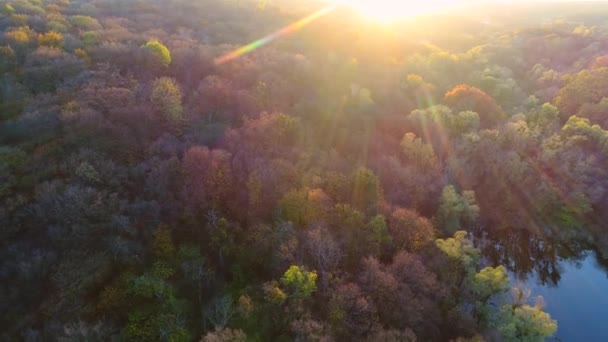 用无人机俯瞰Golosievo公园美丽的湖泊和秋天的森林 — 图库视频影像